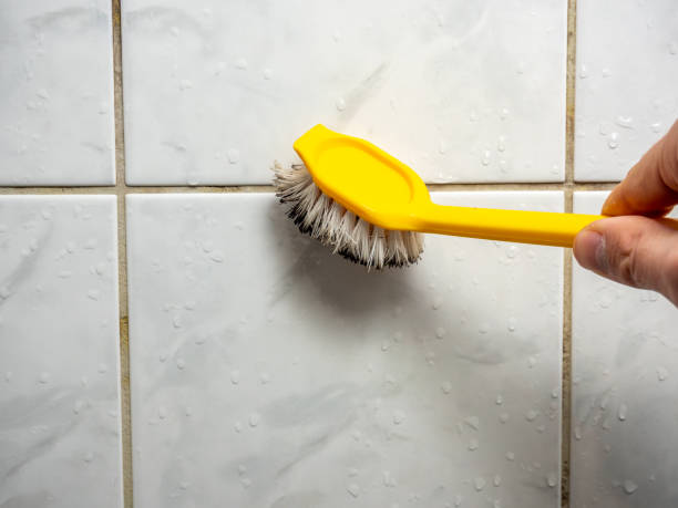 Office Mold Removal Services in Crossville, TN