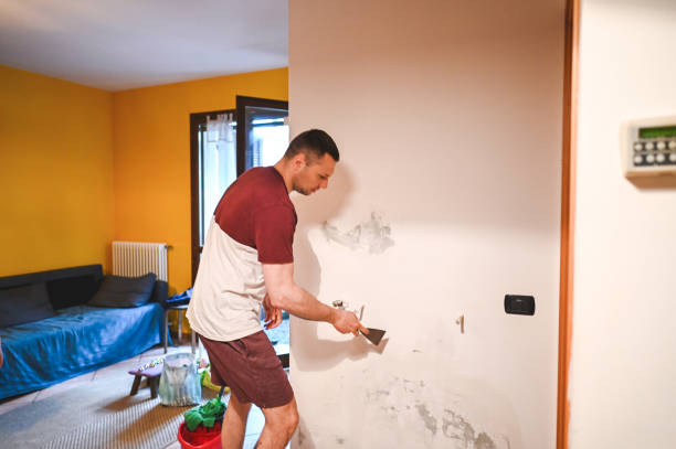 Best Affordable Mold Removal  in Crossville, TN