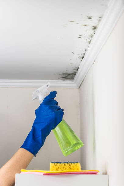 Best Mold Testing  in Crossville, TN